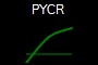 PYCR